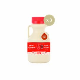 Sirop d'érable cruchon 100 ml - 3 unités